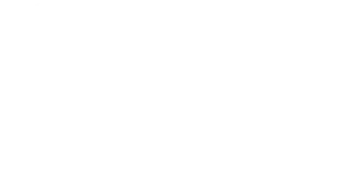 PSS Evolution forever life